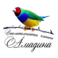 Амадина на Якубовича - Санкт-Петербург