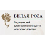 Белая роза - фото