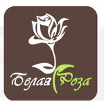 Белая роза - фото