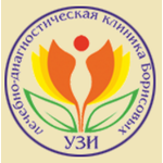 Клиника Борисовых - фото