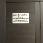 Центр профессиональной гирудотерапии и гирудокосметологии «GirudoPro» на Советской - фото