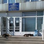Самарская городская клиническая поликлиника №15 - фото