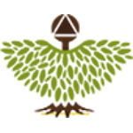 Кабинет гомеопатии и остеопатии доктора Бочановой - фото