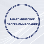 Кабинет мануального терапевта и массажа - фото