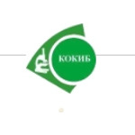 Кемеровская областная клиническая инфекционная больница - фото