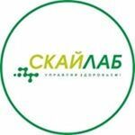 Лаборатория «Скайлаб» на Лизы Чайкиной - фото