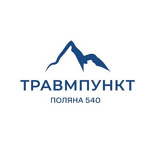 Медицинский центр «Травмпункт Поляна 540» - фото