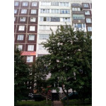 Стоматология «Север Дент» - фото