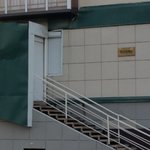 Сокол - фото