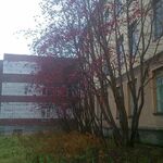 Стационар МОПНД - фото