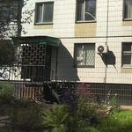 Стоматология «Привет-дент» - фото
