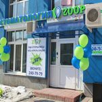 Стоматология «ZOOP» - фото