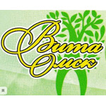 Стоматология «Вита» - фото