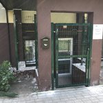 Студия Эстетической Стоматологии - фото