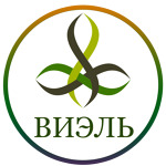 Центр Остеопрактики и Реабилитации «Виэль» - фото Центр Остеопрактики и Реабилитации «Виэль» - фото
