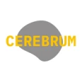 Центр ментального здоровья «CEREBRUM» - Санкт-Петербург