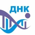 ДНК Иваново - Иваново