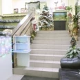 «Стоматологическая клиника Феоктистовой» - Москва