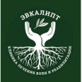 Клиника лечения боли и реабилитации Эвкалипт - Оренбург