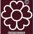 Клиника «ПримулаМед» - Копейск