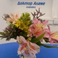 Медицинский центр "Доктор Аламе" - Москва