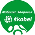 Оздоровительный центр «Фабрика Здоровья Skobel» - Казань
