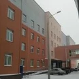 Перинатальный центр Борская ЦРБ - Нижний Новгород