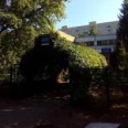 Поликлиника на Свердлова ТКВД - Тольятти