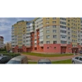 Ромашка - Санкт-Петербург