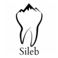 Стоматологическая клиника «Sileb» - Москва