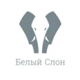Стоматология «Белый слон» на Малом проспекте В.О. - Санкт-Петербург