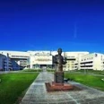 Травматолого-ортопедическое отделение №11 Клиника реконструктивной костно-суставной хирургии детей и взрослых РНЦ ВТО им Илизарова - Курган