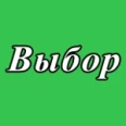 Выбор - Великий Новгород