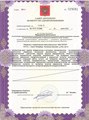 лицензии