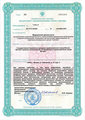 лицензии