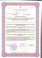 лицензии