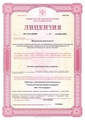 лицензии