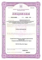 лицензии