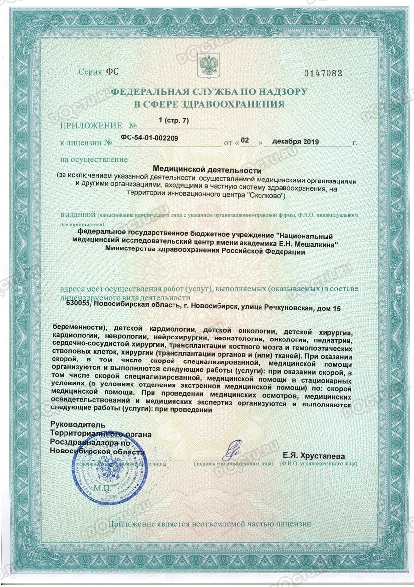 Мешалкина Новосибирск Фото Мешалкина Новосибирск Фото