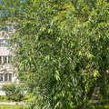 Фото Детская городская больница №9