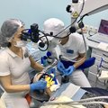 Фото Стоматологическая клиника «Da Vinci»
