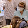 Фото Стоматологический центр «Радикс»