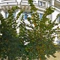 Фото Филиал ГП №1