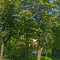 Фото Городская гериатрическая больница