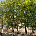 Фото Городская больница №3