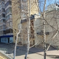 Фото Офтальмологический центр «Окосфера»