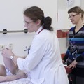 Фото Национальный медицинский исследовательский центр детской гематологии, онкологии и иммунологии им Рогачева