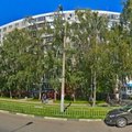 Фото Астера