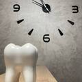 Фото Стоматология «Pro-Dental»