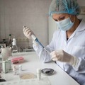 Фото Лаборатория «CMD» на проспекте Гагарина